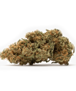CBD-Critical-Mass-Trimmed-Herb-HighNorth-Maine's-Wholesale-Cannabis-Brand
