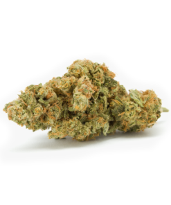 Chocolope-Trimmed-Herb-HighNorth-Maine's-Wholesale-Cannabis-Brand