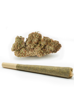 Dark-Star-Pre-Rolled-Cones--HighNorth-Maine's-Wholesale-Cannabis-Brand