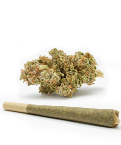 Mother-of-Berries-MOB-Pre-Rolled-Cones--HighNorth-Maine's-Wholesale-Cannabis-Brand
