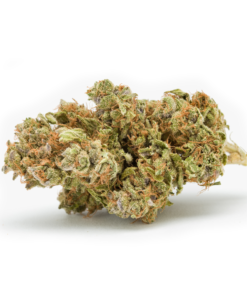 Mother-of-Berries-MOB-Trimmed-Herb-HighNorth-Maine's-Wholesale-Cannabis-Brand