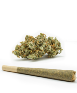 Original-Glue-GG4-Pre-Rolled-Cones--HighNorth-Maine's-Wholesale-Cannabis-Brand