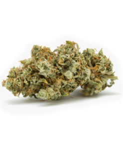 Original-Glue-GG4-Trimmed-Herb-HighNorth-Maine's-Wholesale-Cannabis-Brand