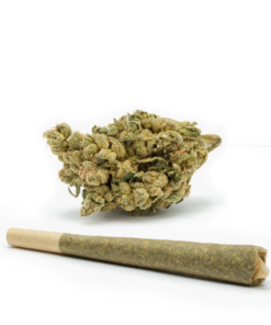 Skywalker-Kush-Pre-Rolled-Cones--HighNorth-Maine's-Wholesale-Cannabis-Brand