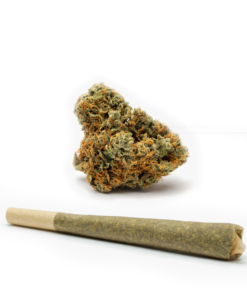 Sour-Kush-Pre-Rolled-Cones--HighNorth-Maine's-Wholesale-Cannabis-Brand