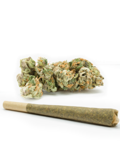 Trainwreck-Pre-Rolled-Cones--HighNorth-Maine's-Wholesale-Cannabis-Brand