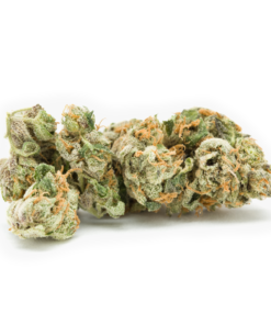 Trainwreck-Trimmed-Herb-HighNorth-Maine's-Wholesale-Cannabis-Brand