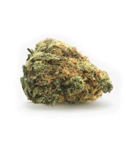 White-Lemon-Trimmed-Herb-HighNorth-Maine's-Wholesale-Cannabis-Brand