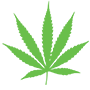 Shop-Recreational-Cannabis-at-HighNorth-Maine-Icon