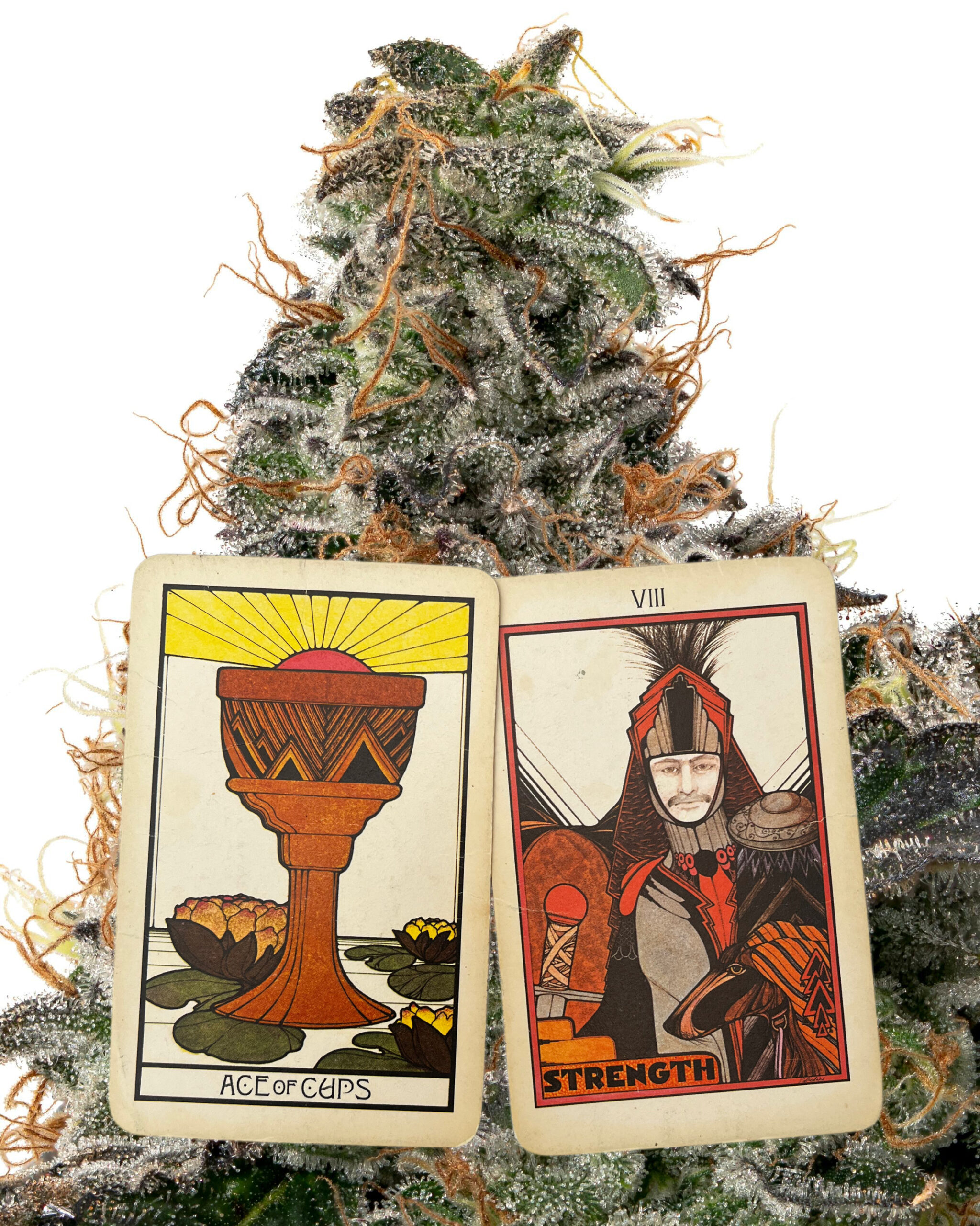 Tarot Weeding 8/2–8/8: Ace Of Cups &Amp; Snake Cake Strain - Highnorth Mystique Of Maine Tarot-weeding