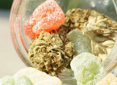 HighNorth Mystique of Maine Recreational Cannabis Dispensaries Maine | Edibles Category Image